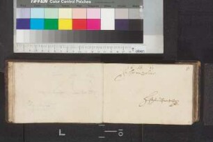 Jörger von Tollet, Hans Septimius; Blatt 8