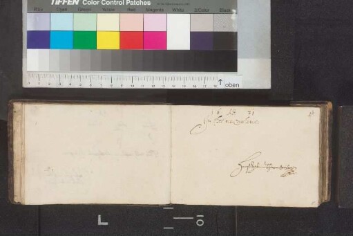 Jörger von Tollet, Hans Septimius; Blatt 8