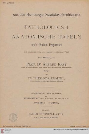 Heft 4: Pathologisch-anatomische Tafeln