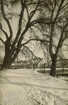 Giersdorf (heute Podgórzyn / Polen). Ortsteilansicht mit alten Bäumen im Schnee