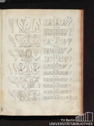 Pl. 41.