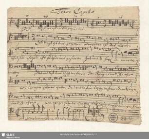 Tenor Capella