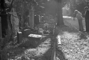 Herbststimmung auf dem Karlsruher Hauptfriedhof