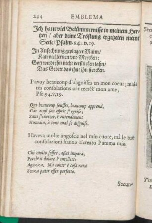 [LXII. Non Tentatus, Qvalia Scit?]