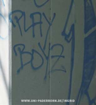 PLAY BOYZ