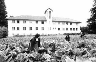 Kirchzarten: Kloster, Vordergrund Gemüsegarten mit Nonnen