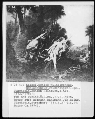 Pan und Syrinx