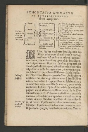 Exhortatio Animarum Ad Intelligentiam sacrae Scripturae.