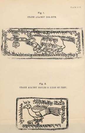Plate XVII. Fig. 1. Charm against dog-bite. Fig. 2. Charm against eagles & birds of prey