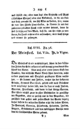 ¬Der¬ Weinstock : Taf. XVIII, Fig. 96