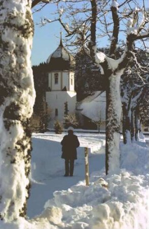 Hinterzarten: Pfarrkirche hinter verschneiter Baumallee