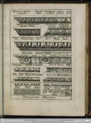 3. Verzierte Glieder