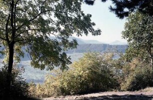 Neuffen: Waldweg mit Lichtung bei Neuffen