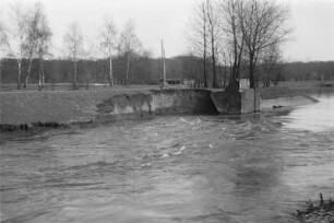 Ausgespültes Ufer : Blick auf das ausgespülte Ufer an einem Wehr der Weißen Elster