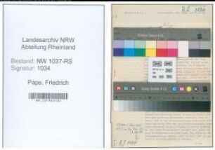 Entnazifizierung Friedrich Pape , geb. 00.00.0000 (Forstmeister)