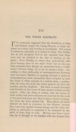 XVI. The white elephant