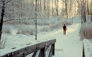 Kurpark im Winter