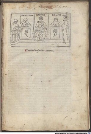 Comoediae : mit Kommentar von Aelius Donatus und Johannes Calphurnius (zu Heauton Timorumenos)