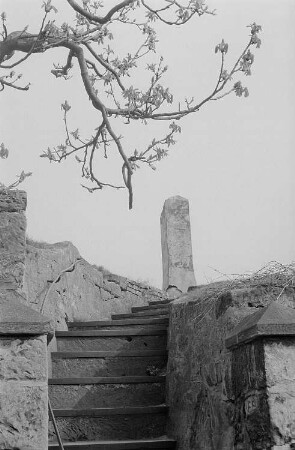 Detailansicht der Burgruine Regenstein bei Blankenburg im Harz