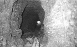 Nossen-Kottewitz. Kalkhöhle oberhalb vom Buschhaus