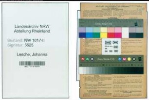 Entnazifizierung Johanna Lesche , geb. 10.11.1906 ()