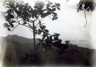 "Blick auf die Arava-Bucht."