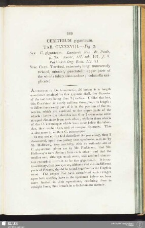 Cerithium giganteum. Tab. CLXXXVIII. --- Figs. 2