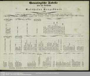 Genealogische Tabelle über das Geschlecht des Balthasar Neugebauer