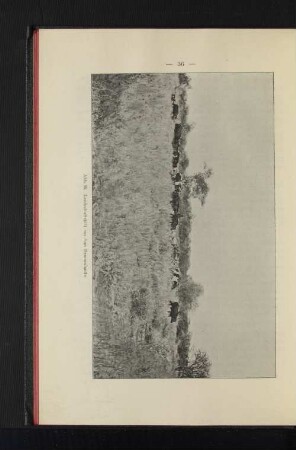 Abb. 22. Landschaftsbild aus dem Damaralande.