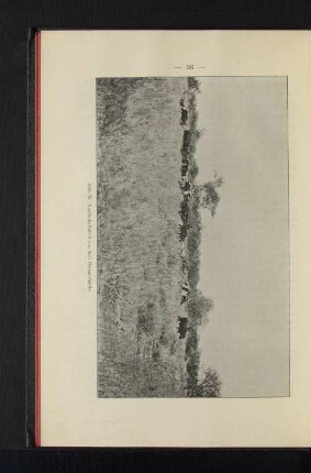 Abb. 22. Landschaftsbild aus dem Damaralande.