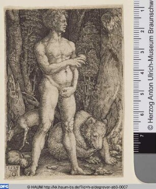 Adam mit einem Bären