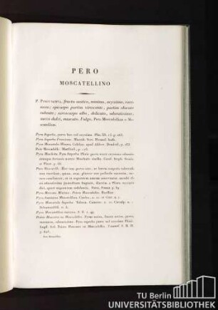 Pero Moscatellino
