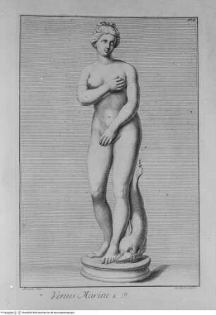 Recueil des marbres antiques qui se trouvent dans la galerie du roy de Pologne à DresdenTafel 108 - Venus Marine