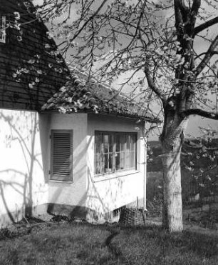 Teilansicht eines Wohnhauses mit einem blühenden Obstbaum (vielleicht in Leonberg)