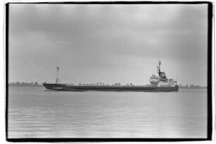 Salamander ex Salzbach (1974), Fisser/Cy.-