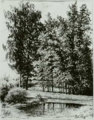 Werdauer Wald