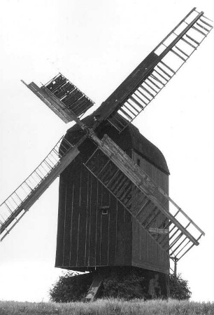 Wefensleben-Belsdorf. Mühle Krebs, Bockmühle, um 1850 erbaut (1987 eingestürzt)