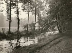 Auenlandschaft mit Esche, Pappel und Erle