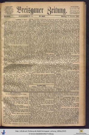 17.11.1893