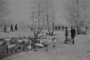Stralsund. Spaziergänger am zugefrorenen Knieperteich, Schwäne und Enten im fast zugefrorenen Wasser