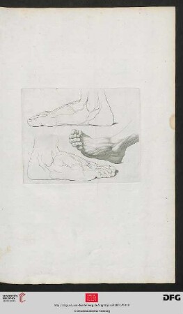 [Taf. 17] [Füße (Kontur, Schraffur)]