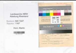 Entnazifizierung Martin Horn , geb. 09.11.1903 (Zollbeamter)