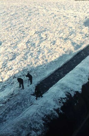 Eiswinter 1956, Mosel
