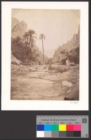La rivière et gorges (El Kantara)