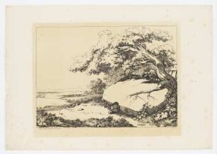 Landschaft mit Felsen und alter Eiche, Blatt 38 der Folge "Federzeichnungen"