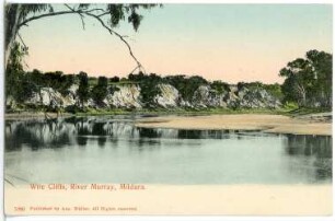 Mildura, Australien. Wite Cliffs, River Murray. Published by Aug. Müller