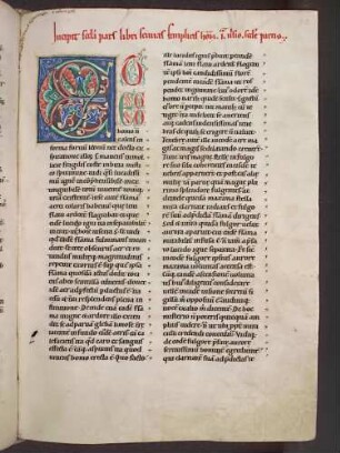 Zierinitiale und Zierschrift (Pars II, Visio prima): E(T EGO)