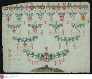 Ahnenprobe des Carl Otto Theodatus v. u. z. Gymnich. - ausgefertigt 1743 Oktober 11 Burgmann, Pergament