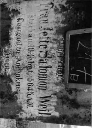 Grabstein 217 (Index: 100090559) Material: weißer Marmor, Sockel:Granit Zustand: gut Maße HxBxT: 120x60x17 cm Beschreibung: Stele, getreppter Sockel, Konvexbogenabschluß: Grabstein 217B