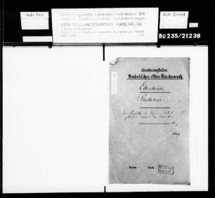Das Verhalten der Lehrer im Amt Ettenheim während der Revolution